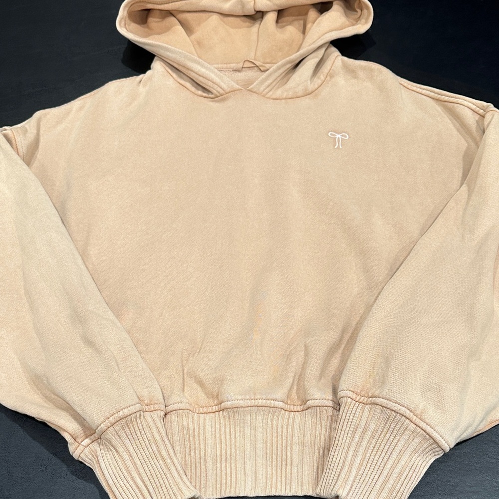 aerie Beige Cropped Hooded Sweatshirt with Tiny Chest Stitching